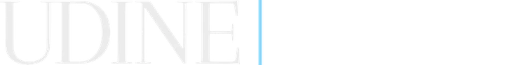 Udine Wealth Management